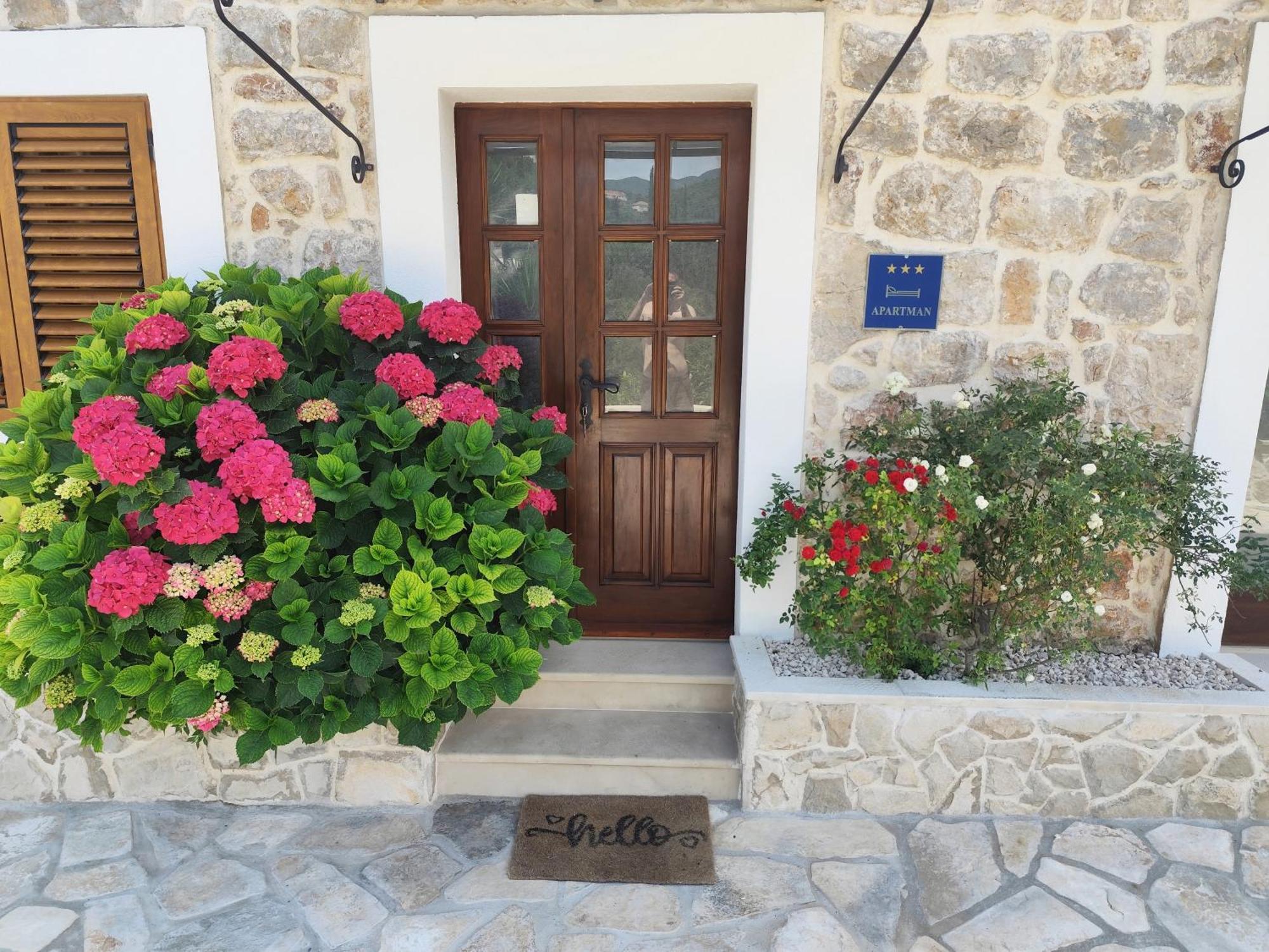 Apartment Mistral - Cosy Apartment With Sea View Molunat Luaran gambar