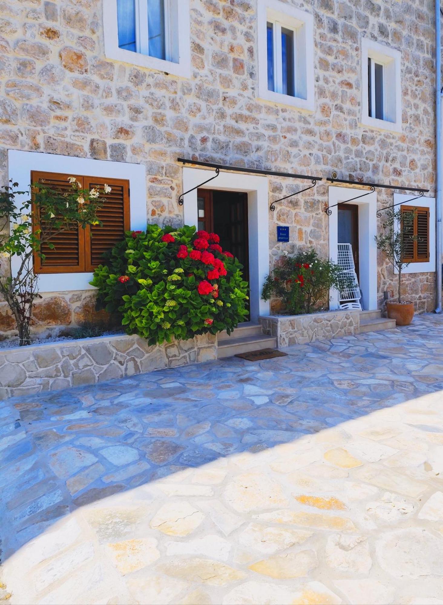 Apartment Mistral - Cosy Apartment With Sea View Molunat Luaran gambar